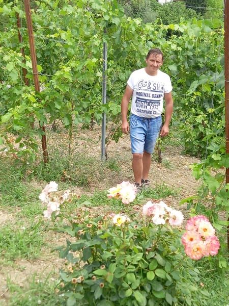 DavideSacchi