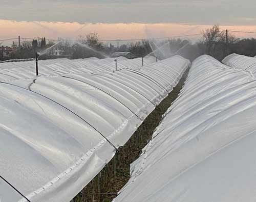 irrigazioneantibrina