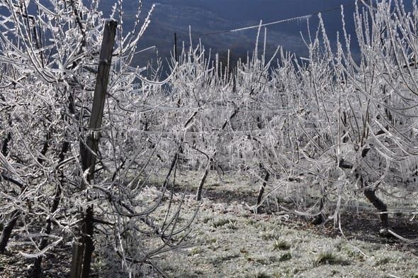 gelate in romagna
