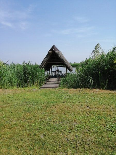 aree rinaturalizzate